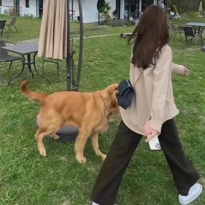 杂耍班